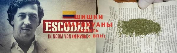 ПСИЛОЦИБИНОВЫЕ ГРИБЫ Белокуриха