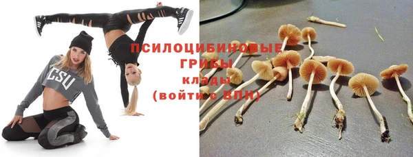 дурь Белоозёрский