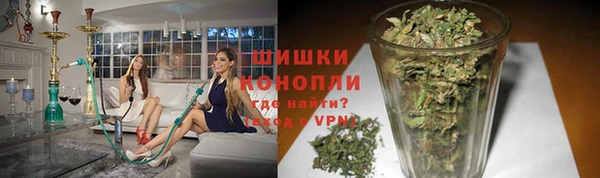 ПСИЛОЦИБИНОВЫЕ ГРИБЫ Белокуриха