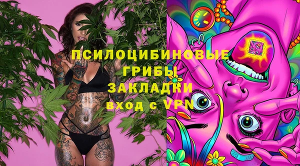 ПСИЛОЦИБИНОВЫЕ ГРИБЫ Белокуриха