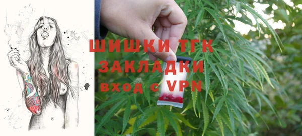 ПСИЛОЦИБИНОВЫЕ ГРИБЫ Белокуриха