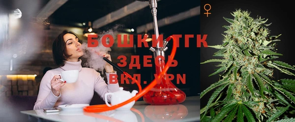 ПСИЛОЦИБИНОВЫЕ ГРИБЫ Белокуриха