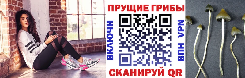 Галлюциногенные грибы прущие грибы Купить Асбест